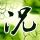 办理高仿白百合女子大学文凭【degxx.com】